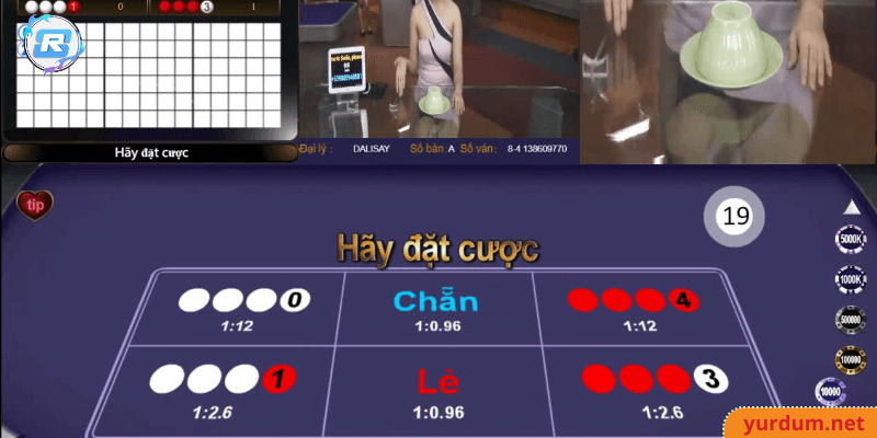 Hướng dẫn cách chơi xóc đĩa tại rs8casino hiệu quả